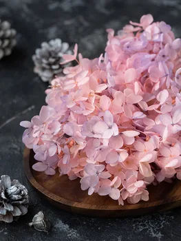 20g Flori nemuritoare-Un Lemn de Calitate Hortensie Multi-culoare Flori Uscate pentru Decorare Flori Artificiale Flori Conservate