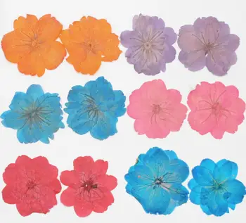 250pcs 30-35mm flori de Cires Presat de Flori Uscate de Umplere Pentru Rășină Epoxidică de Luare de Bijuterii carte Poștală Cadru Caz de Telefon Ambarcațiuni DIY