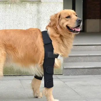 Animale De Companie Bretele Picior, Picior De Sprijin Câini De Recuperare Mânecă Capac De Protecție Câine De Metri De Acoperire Accesorii Pentru Animale De Companie Pentru Protejarea Rănilor