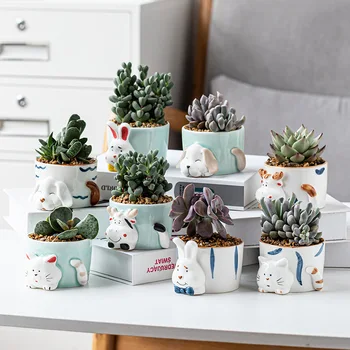 Ceramice De Animale Vaza De Start Drăguț-Decor Bonsai
