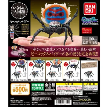 Japonia Reale BANDAI Gashapon Jucărie Capsulă de Asamblare Mare Păianjen Ornamente pentru Masă Cadouri pentru Copii