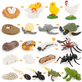 Montessori Jucării Ciclu de Viață de Învățare Animal Eudcation Jucării Educative Pentru Copii de Ajutor în Predare Cadou de Crăciun G45Y