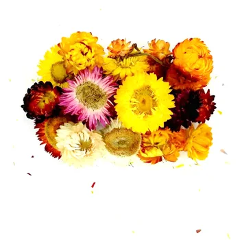 Naturale Uscate Capete de Flori Colorate Crizantema Floarea Conservate Material DIY 30g/ Cutie
