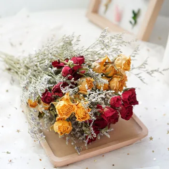 Rose Iubitor de Iarbă Gypsophila Naturale, Flori Uscate Buchet de Nunta Cadouri pentru Oaspeții Acasă Decorare Fotografie elemente de Recuzită, Decor de Perete